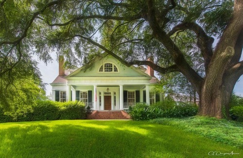 Natchez Cama Y Desayuno | The Burn Bed and Breakfast