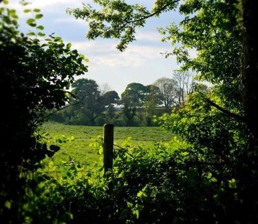Coleraine Casa | The Byre At Springbank
