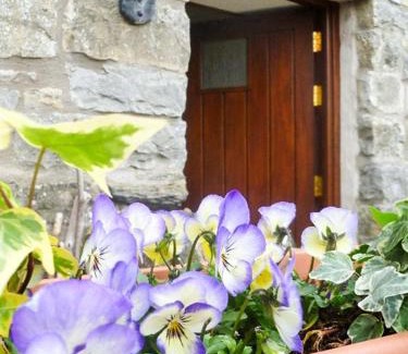 Grange-over-Sands Casa | The Byre