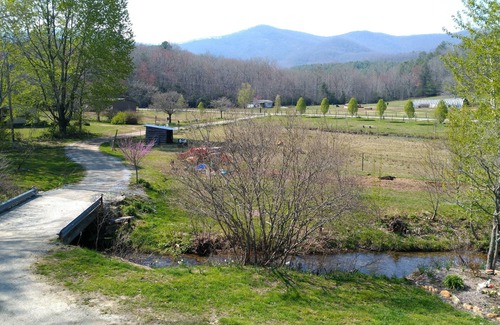 Balsam Grove Cabina | La cabaña en la granja de Maggie en apresurarse Tucker Creek, estanque de truchas, Blue Ridge Pkwy