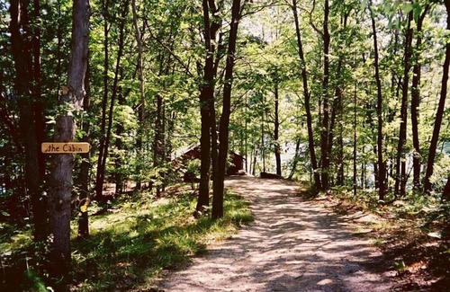 Mayfield Cabina | La cabaña en el lago Chandler en Traverse City, Mi