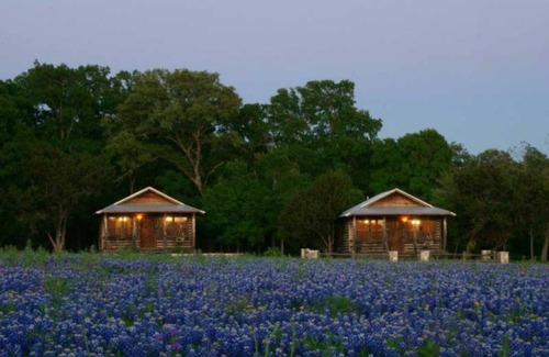 Georgetown Cabina | The Cabins at Angel Springs - Butterfly