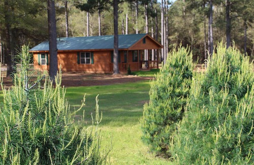 Fairhope Cabina | Alquiler de cabaña de troncos en Fish River Christmas Tree Farm