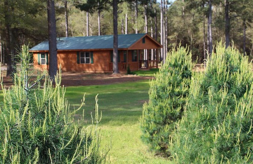 Fairhope Cabina | Log Cabin Rental en Fish River Christmas Tree Farm