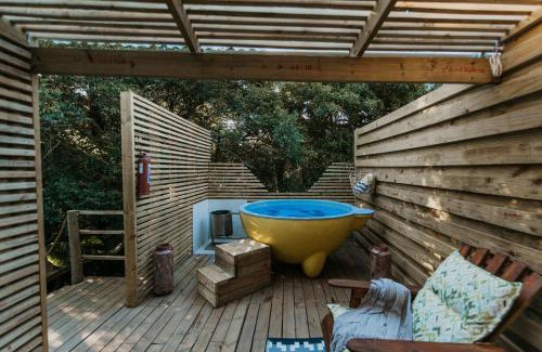 Storms River Otro | The Cacoon Tsitsikamma