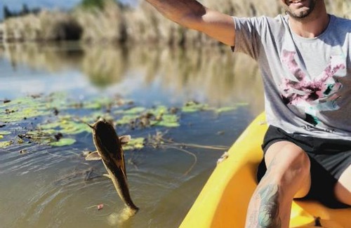 Tulbagh Otro | The Camptainer. Herondale Farm