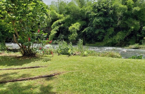 Zarzal Alquiler De RV | The Casita Amarilla del Yunque & Buena Vibra