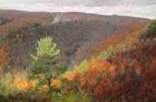 Wyalusing Apartamento | The Cast Iron Lady