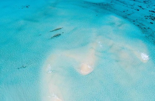 Feridhoo Casa | The Castaway retreat