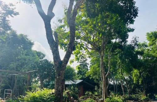 Nungua Cabina | The Cave Suite