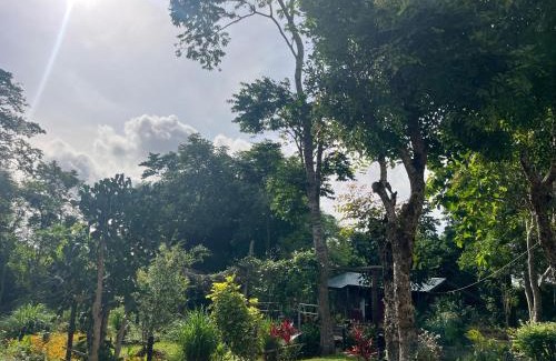 Nungua Cabina | The Cave Suite