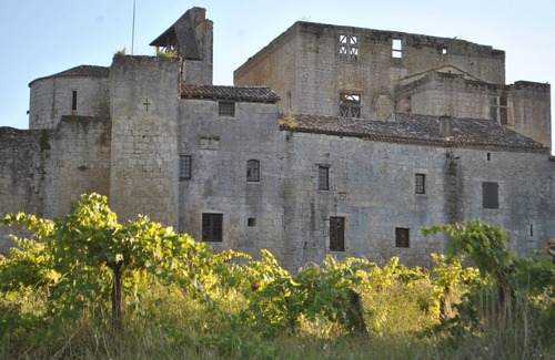 Larressingle Casa | EL ENCANTO DE UNA CASA DE PUEBLO CON PISCINA ENTRE VIÑEDOS Y ciudad fortificada