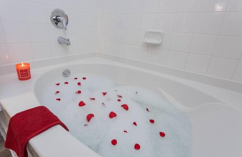 Bentonville Apartamento | The Charming Canary Condo