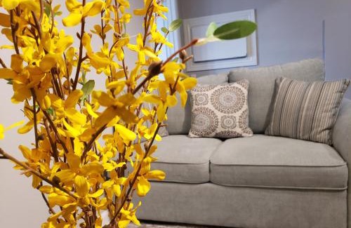 Silver Lake Apartamento | The City-Side at Silver Lake *NEW 1-BED RM APT