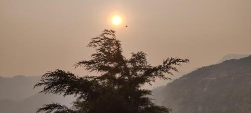 Bageshwar Otro | The Click Eatery cafe and campsite