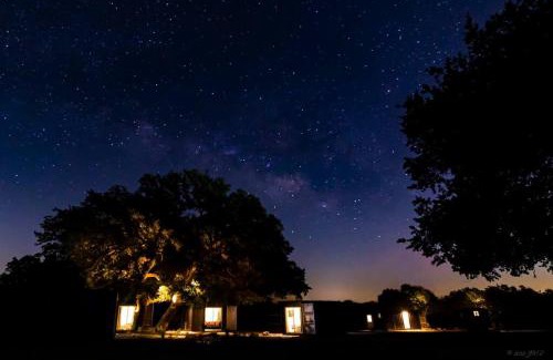 Johnson City Casa | The Container Retreat @ 290 Wine Trail #6 Enjoy nature!