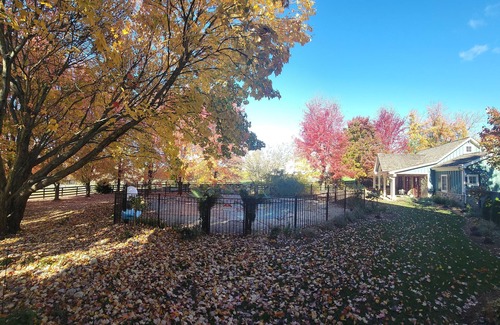 Leesburg Cabaña | The Cottage at Firefly Cellars, cozy getaway in Loudoun wine country!