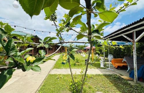 Anaklia Hotel | The Cottages Anaklia