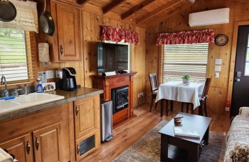 Julian Cabina | The Couple's Cabin in Wynola - 13 Acres of Nature - Hot Tub - Fire Pit - Gated