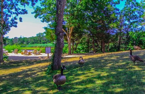 West Yarmouth Complejo | The Cove at Yarmouth by VRI Americas