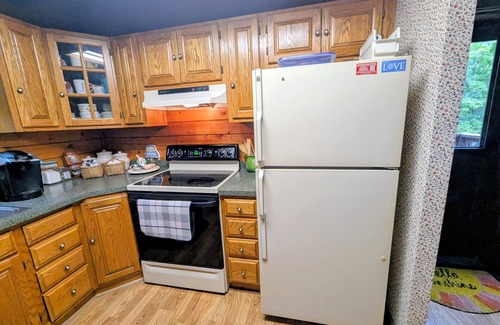 Nescopeck Cabina | The Cozy Cabin, 4 BR, 2 bath home on 5 private acres in NE PA. Family Friendly!