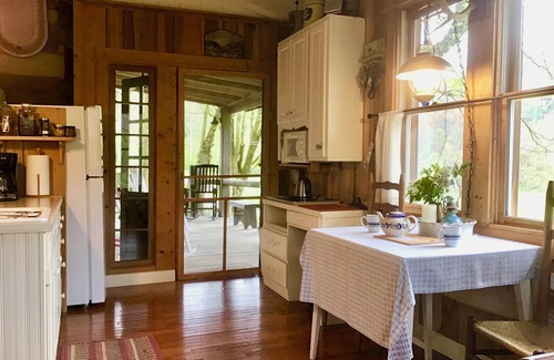 Irvine Cabina | The Cozy Cabin – A Historic Chestnut Log Haven in the Holler