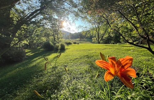 Irvine Cabina | The Cozy Cabin – A Historic Chestnut Log Haven in the Holler