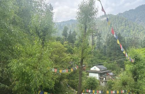 Jibhi Casa | The Cozy Cabin, Jibhi