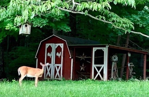 Cookeville Casa | The Dabbling Duck…Pet Friendly, Fenced Yard, Kayaking, Farm Stay, Hot Tub, Pond