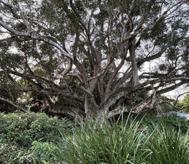 Eumundi Casa | The Dairy character-filled farm stay