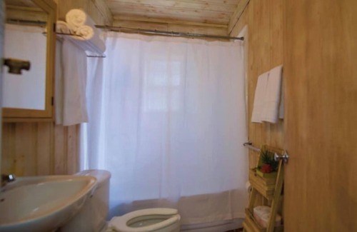Lake City Cabina | The Daisy Cabin with Mountain Views