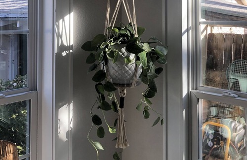 Carlsbad Casa | The Day Dreamer's Passage