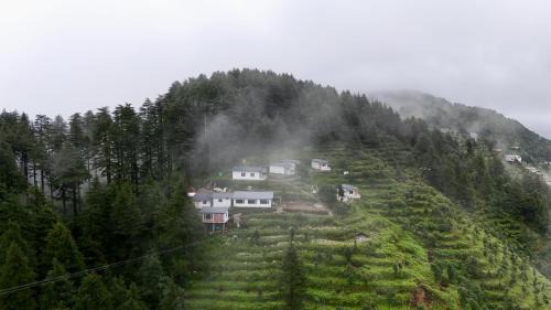 Kanatal Complejo | The Deodar Stays