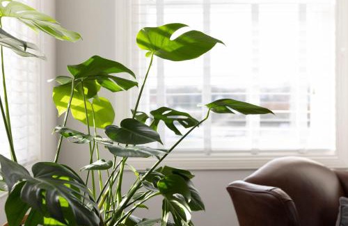 Berwick-upon-Tweed Apartamento | The Drawing Office