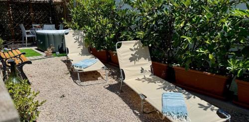 Termini Casa | The Dream