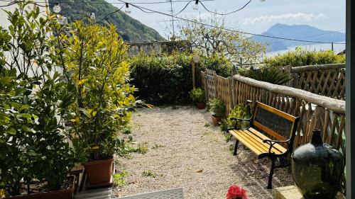Termini Casa | The Dream