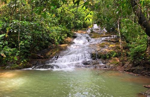 Platanillo Apartamento | The Elements Costa Rica Nature Lodges