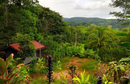 Platanillo Apartamento | The Elements Costa Rica Nature Lodges