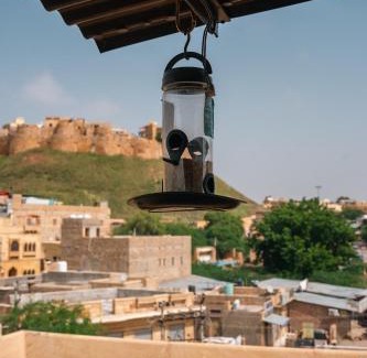 Amar Sagar Pol Hotel | The Elite Castle