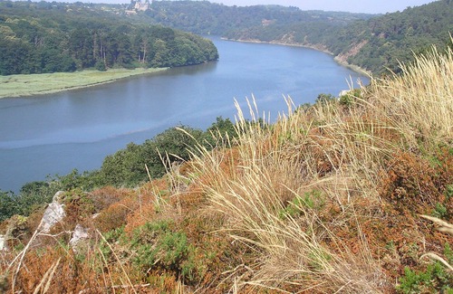 Plourivo Cabaña | EL ESTUARIO / El mar está en el bosque