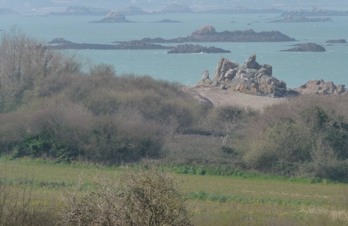 Plourivo Cabaña | EL ESTUARIO / El mar está en el bosque