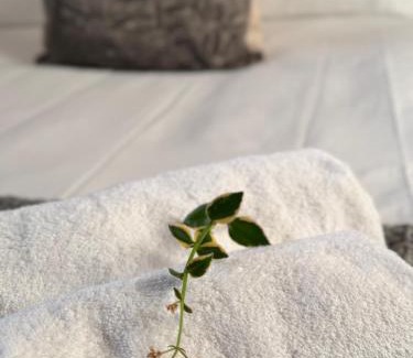 Berea Apartamento | The Facebrick Flat