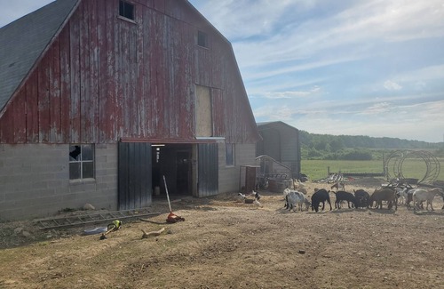 Thompson Alquiler De RV | The Farm at Grand River