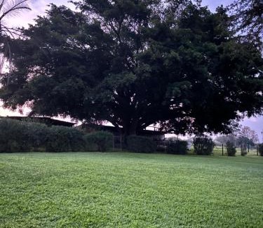 Camperdown Casa | The Farmery Garden and Guesthouse