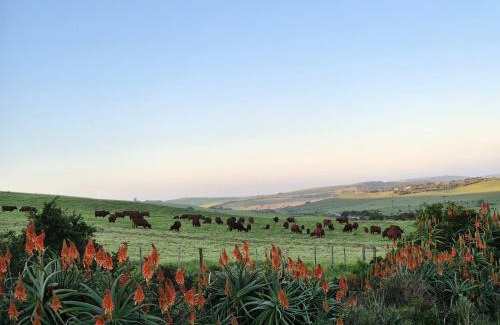 Cannon Rocks Casa | The Farmstead