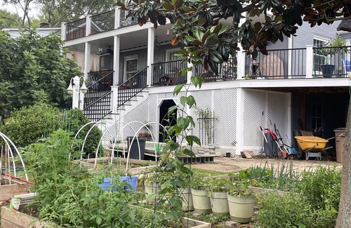 Shelby Casa | The Fig Tree Garden House. Casual elegance in a park like setting