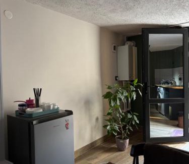 Borjomi Apartamento | The Fireplace ROOM