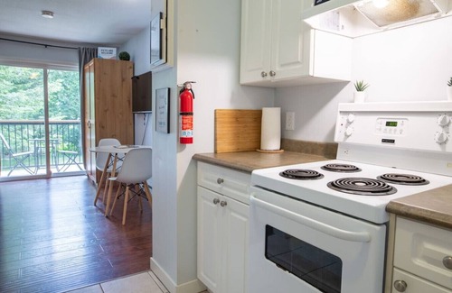 Harrison Hot Springs Apartamento | The Flats at Cedar Springs | Full Kitchen & Steps to Lake