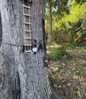 Port Saint Lucie Otro | The Forest Nook