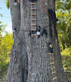 Port Saint Lucie Otro | The Forest Nook